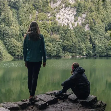 Appartement Apartmentfour